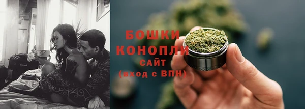 прущие крисы Козловка